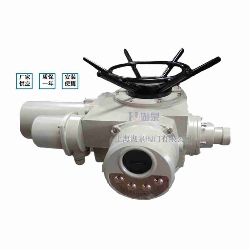 閥門電動(dòng)裝置（dzw05,10,20，30,45,60，90,12