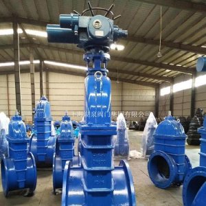 電動彈性座封閘閥DN100的價(jià)格多少