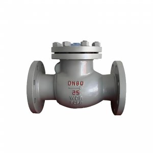 DN50 PN25 介質(zhì)：甲胺，溫度：80℃止回閥