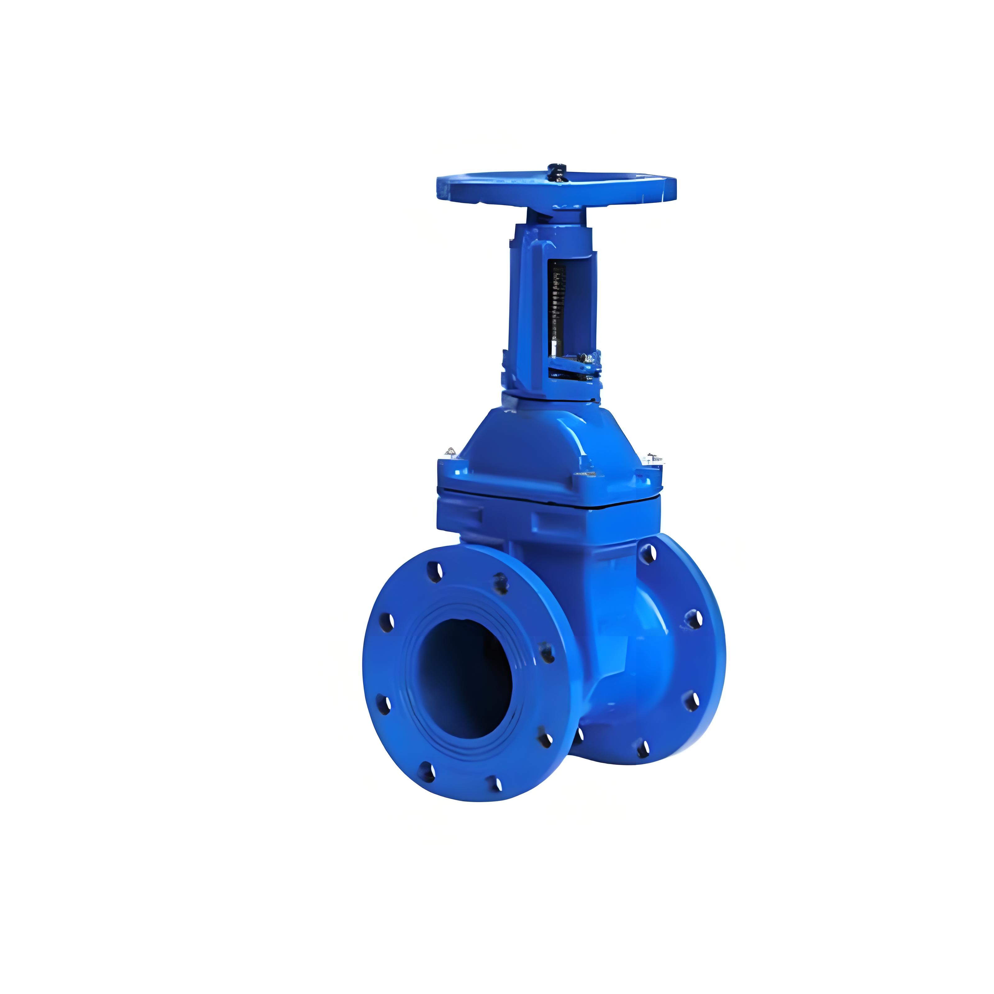 閘閥|Z41T-16Q|DN50明桿鑄鐵法蘭連接