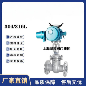 Z941W-16P，DN250，CF8/F304不銹鋼電動閘閥